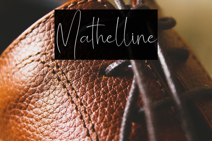 Mathelline Example 3