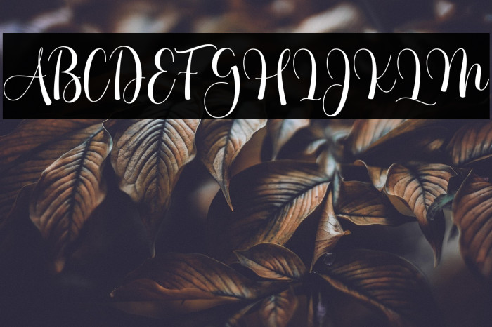 MathildaScript Example 3