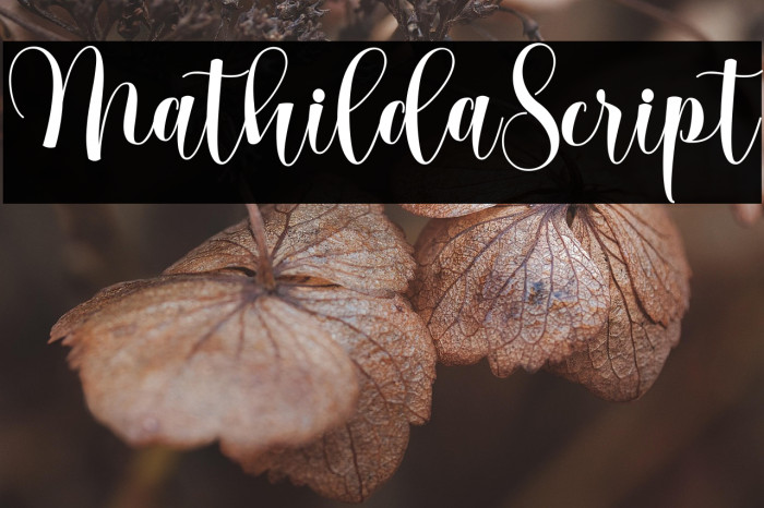 MathildaScript Example 1