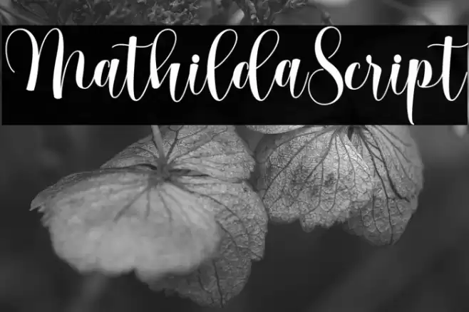 MathildaScript Font examples