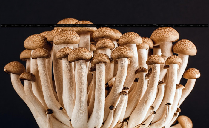 MathildaSignatureSwash Example 2