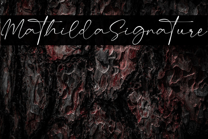 MathildaSignature Example 1