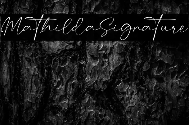 MathildaSignature Шрифта examples