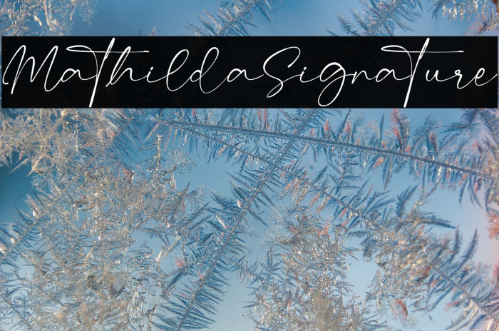 MathildaSignature Example 2