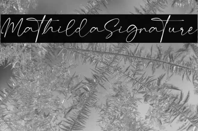 MathildaSignature Шрифта examples