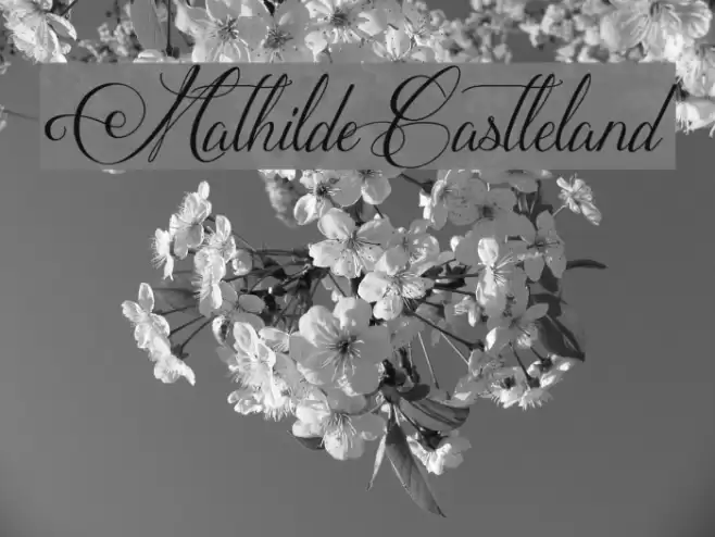 MathildeCastleland Font examples