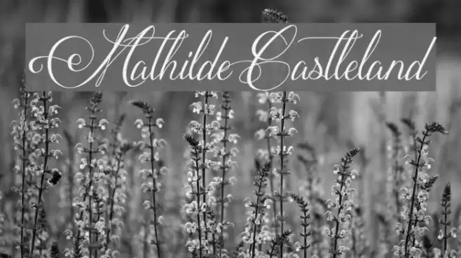 MathildeCastleland Font examples