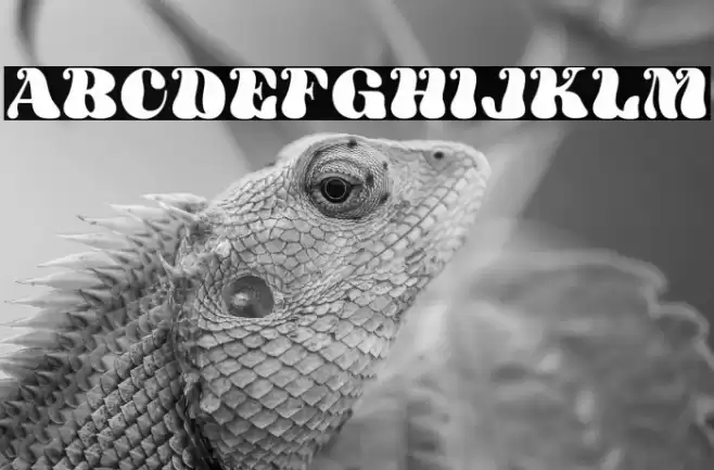 Mathis Font examples