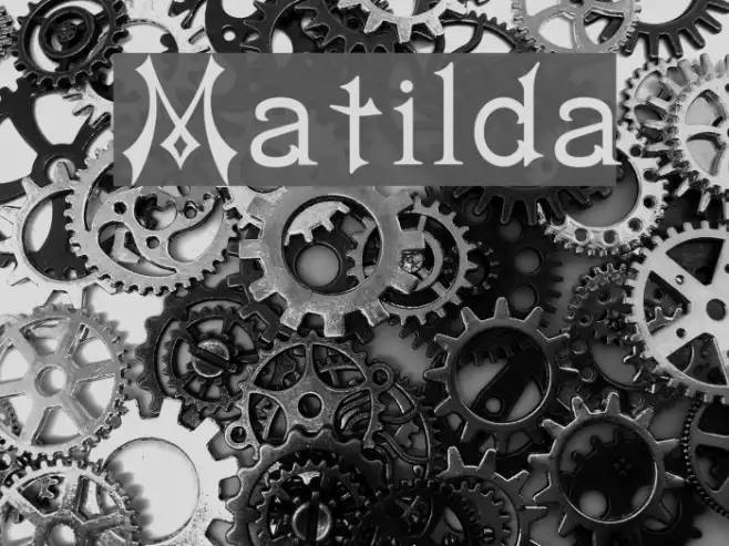 Matilda Example 1