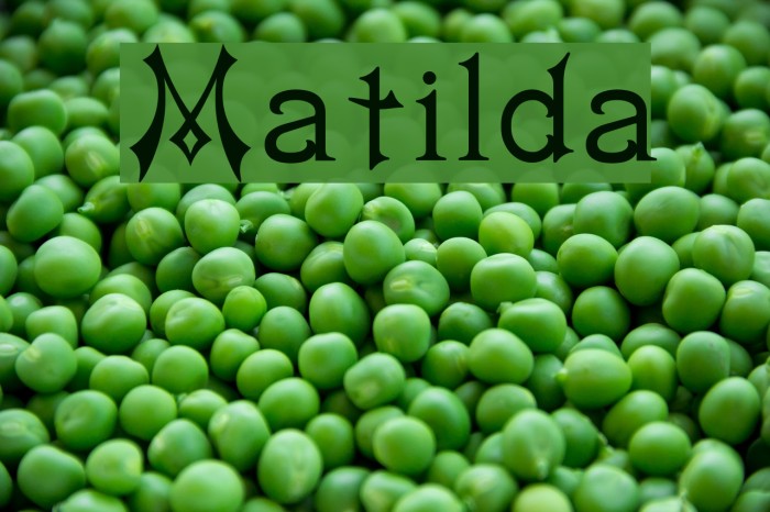 Matilda Font examples