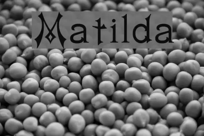 Matilda Example 3