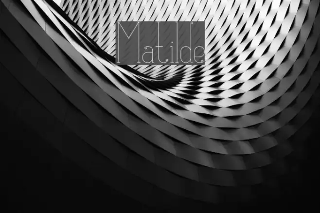 Matilde Example 1