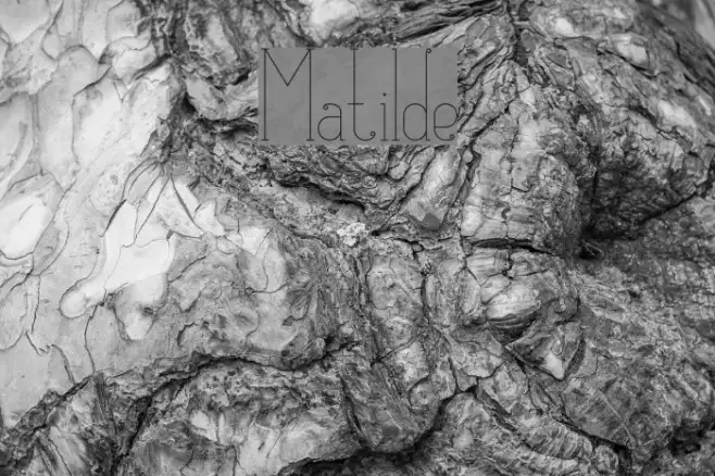 Matilde Example 2