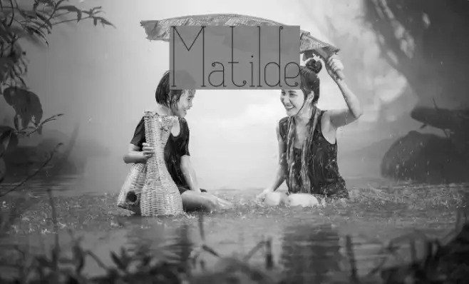 Matilde Example 3