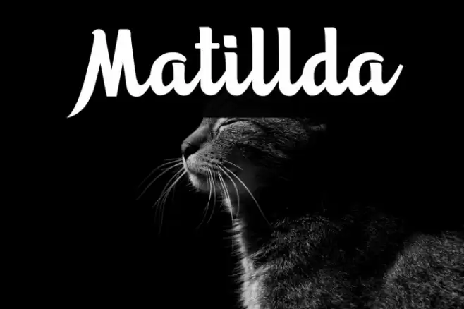 Matillda Font examples