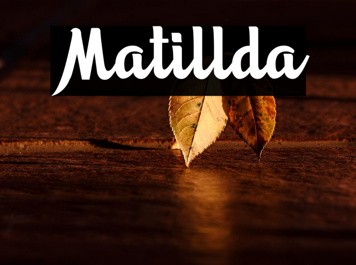 Matillda Example 3