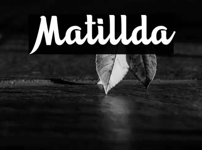 Matillda Font examples