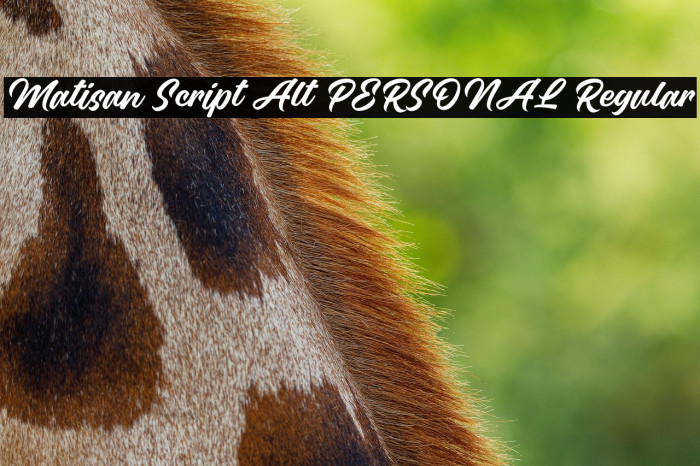 Matisan Script Alt PERSONAL Regular Example 1