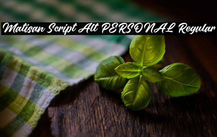 Matisan Script Alt PERSONAL Regular Example 3