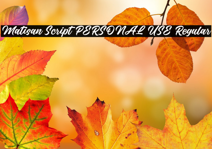 Matisan Script PERSONAL USE Regular Example 3
