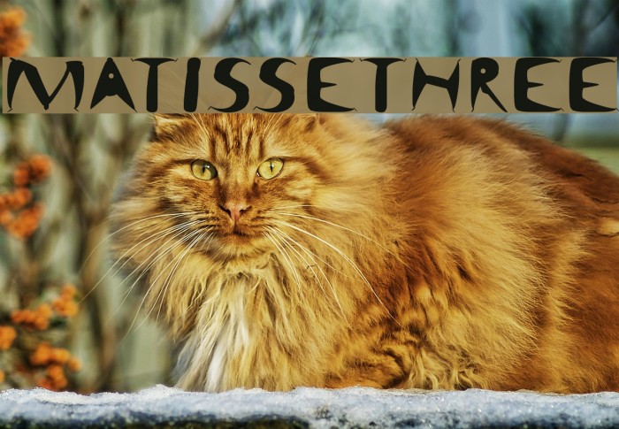 MatisseThree Font examples
