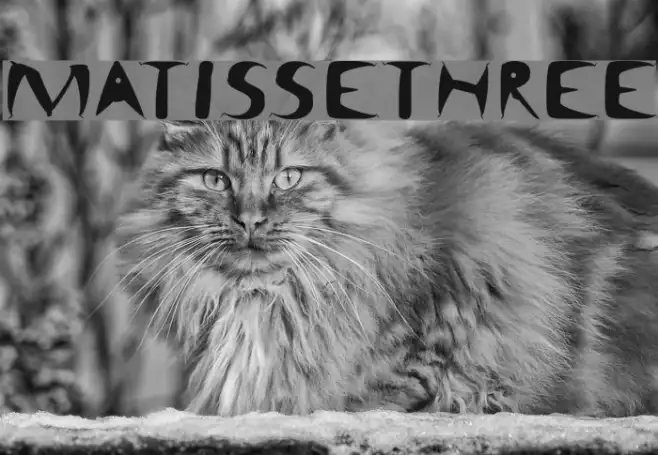 MatisseThree Example 1