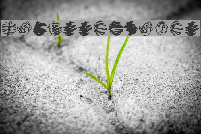 MatisseTraces Example 2