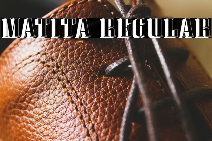 Matita Regular Example 2