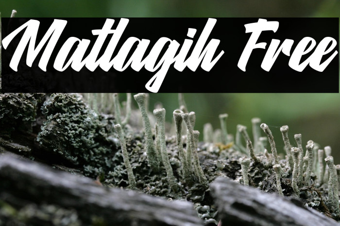 Matlagih Free Example 2