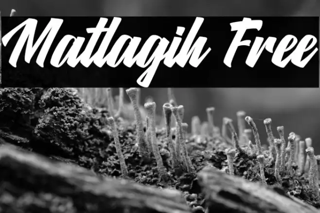 Matlagih Free Example 2