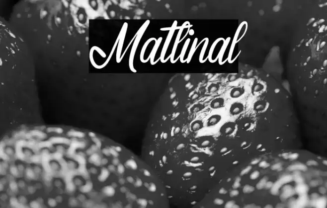 Matlinal Example 1