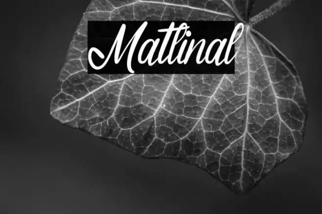 Matlinal Example 2