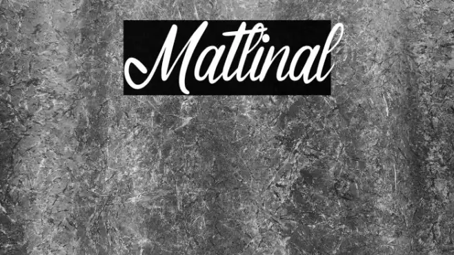 Matlinal Example 3
