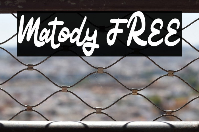Matody FREE Example 1