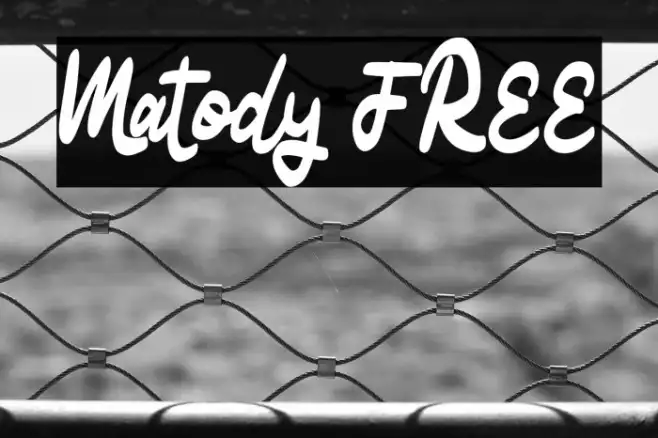 Matody FREE Example 1