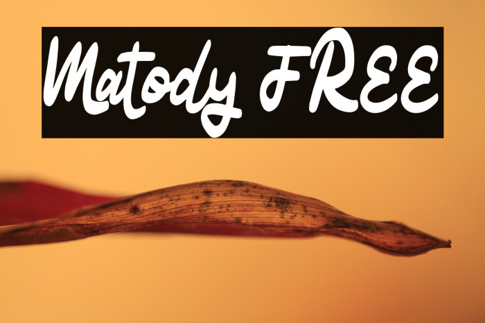 Matody FREE Example 2