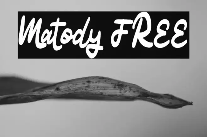Matody FREE Example 2