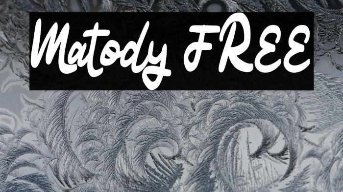 Matody FREE Example 3