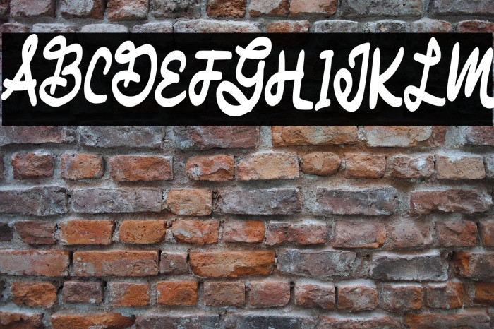 MatodyFREE Example 1