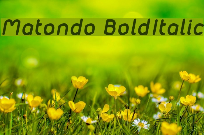 Matondo BoldItalic Font examples