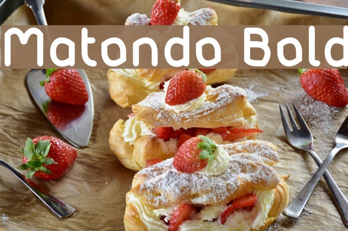 Matondo Bold Font examples