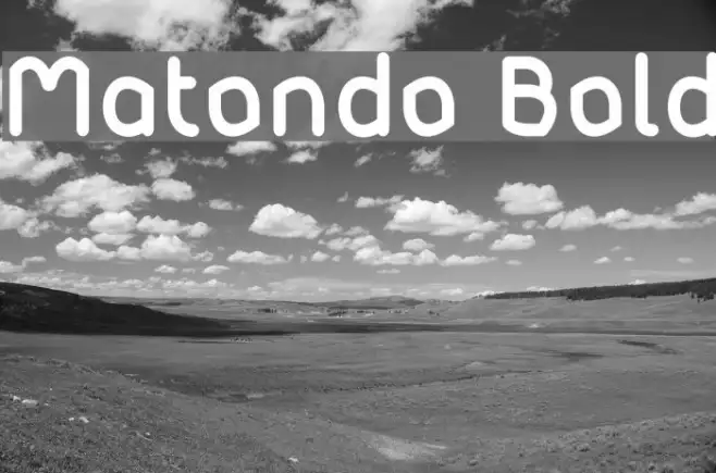 Matondo Bold Example 3
