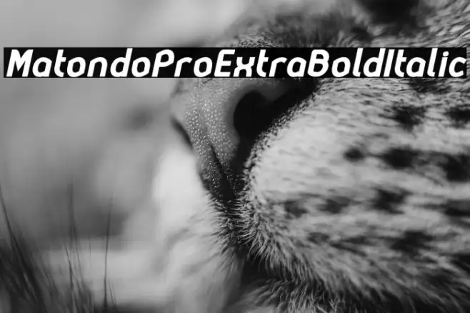 MatondoProExtraBoldItalic Example 1