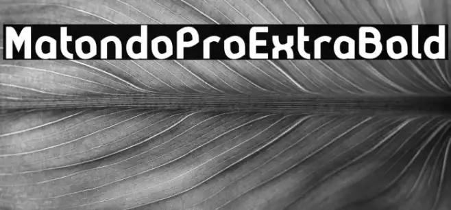 MatondoProExtraBold Example 2