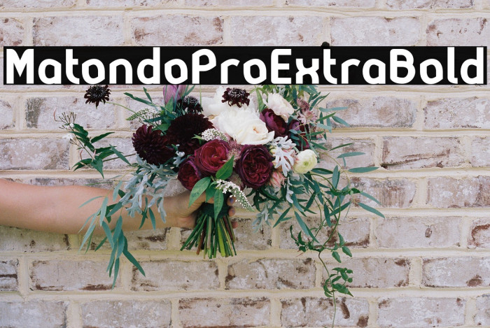 MatondoProExtraBold Example 3