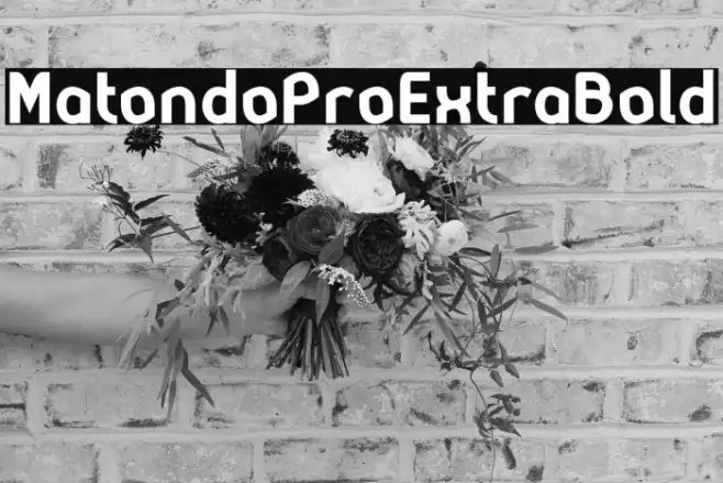 MatondoProExtraBold Example 3