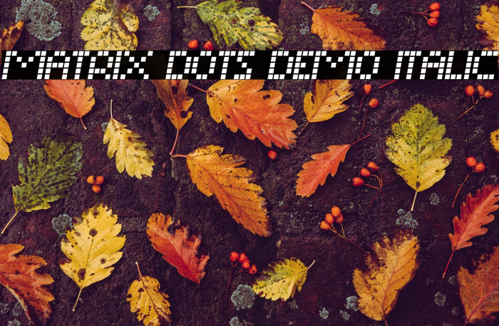 Matrix Dots Demo Italic Example 2