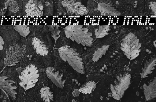 Matrix Dots Demo Italic Example 2
