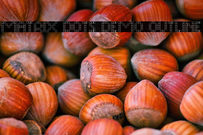 Matrix Dots Demo Outline Example 3