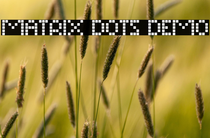 Matrix Dots Demo Example 1